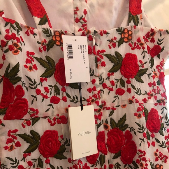 Gorgeous ALEXIS Embroidered Dress - Picture 6 of 10